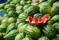 康县网红直播吃瓜,带你领略乡村美食魅力