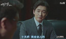 秘密森林13在线观看,暗影中的真相揭晓