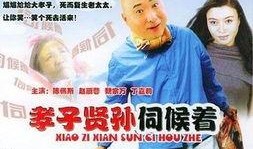 电视剧孝子在线观看,温情演绎现代家庭伦理