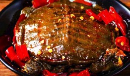 麻辣甲鱼爆料视频大全集,揭秘娱乐圈幕后真相