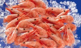 北极虾团购爆料视频下载,新鲜美味，限时抢购！