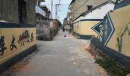 石家庄围墙爆料事件视频