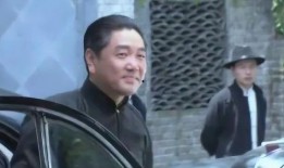 双雄电视剧在线观看,巅峰对决，命运交织的悬疑之旅