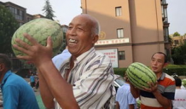 吃瓜娱乐照片大全,吃瓜娱乐照片大全大汇总