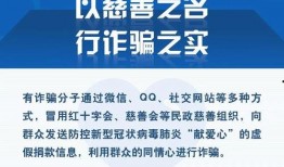爆料网络诈骗新闻稿件,最新爆料揭露犯罪手段与受害者心声