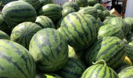 砀山最新吃瓜爆料新闻视频,视频揭秘惊人内幕！