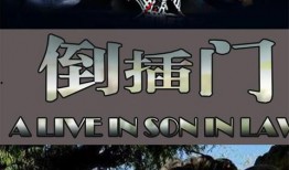 新上门女婿全集在线观看影片,笑料百出，温情满满的家庭喜剧之旅