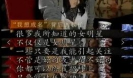 黑暗爆料娱乐圈,揭秘明星背后的真相与秘密