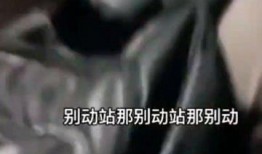 哈尔滨爆料男子被打视频,暴力冲突引发社会关注