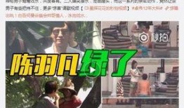 蓝江爆料后续事件视频,事件真相再揭秘，悬念重重引关注