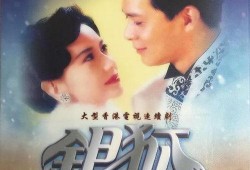 电视剧银狐在线观看,穿越时空的奇幻之旅，在线观看重温经典