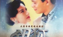 电视剧银狐在线观看,穿越时空的奇幻之旅，在线观看重温经典