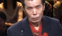 何庆魁被爆料是真的吗视频,视频揭露背后真相