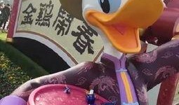 娱乐圈爆料唐老鸭是谁,唐老鸭的真实身份竟是...