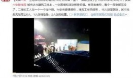 爆料六安宠物店事件视频,揭露背后残酷真相