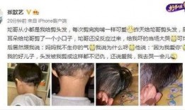 圈内八卦爆料范丞丞,揭秘娱乐圈背后的家族势力与星途发展