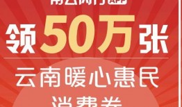 云南快递最新爆料,揭秘行业变革与挑战