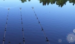 俄钓四最新爆料,揭秘神秘事件背后的惊人真相