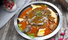 麻辣甲鱼爆料视频大全集,揭秘娱乐圈幕后真相