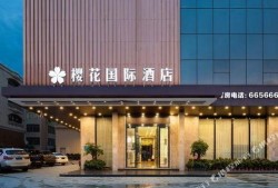 湛江大酒店爆料案件最新,揭开神秘事件的真相面纱