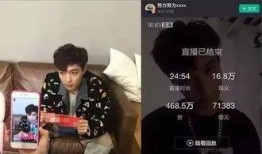 直播爆料后我红了娱乐圈,娱乐圈新晋明星崛起记