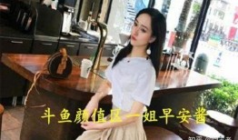 娱乐吃瓜酱长途车,长途车上的趣味时光