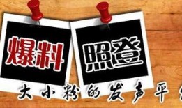 四川新闻大爆料,聚焦热点事件，揭秘幕后真相