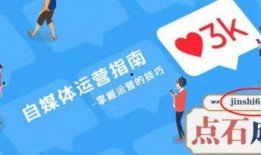 爆料中视频伙伴计划官方,官方揭秘背后的合作奥秘与收益之道