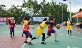 最新体育爆料,最新爆料揭示赛场幕后故事