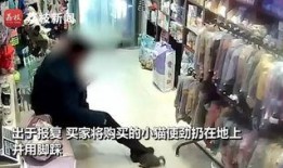 爆料东莞外卖店事件视频,惊人内幕引发社会关注