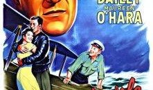 碧血长空在线观看,热血激战，谱写抗战传奇