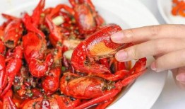 成都爆料小龙虾视频,揭秘网红美食背后的火爆现场