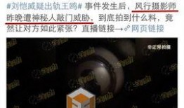 神秘人爆料视频大全,视频大全背后的惊人真相