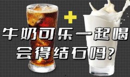 瓶子爆料回放视频大全最新,最新回放视频大全精彩瞬间大盘点