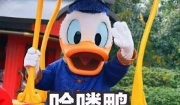 娱乐圈爆料唐老鸭是谁,唐老鸭的真实身份竟是...