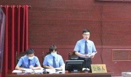 王凤被爆料视频大全,揭秘背后真相与争议