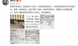 娱乐圈爆料微博的小说,微博爆料背后的秘密