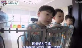 三宝爸爆料视频在线观看,揭秘育儿背后的真实故事