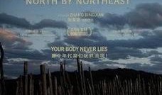 电影东北偏北在线观看,探寻电影背后的东北风情