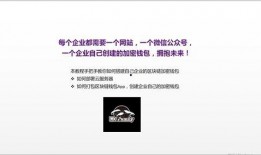 蜜獾家族mcf最新爆料,揭秘家族动向与精彩瞬间