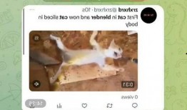 网红杰克辣条爆料视频大全,揭秘网红背后的真实故事