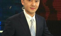 娱乐吃瓜君知名男主持,知名男主持背后的故事与魅力