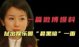 黑暗爆料娱乐圈,揭秘明星背后的真相与秘密