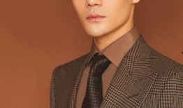 娱乐记者对王凯的爆料,娱乐记者揭秘明星背后的故事