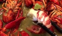 成都爆料小龙虾视频,揭秘网红美食背后的火爆现场