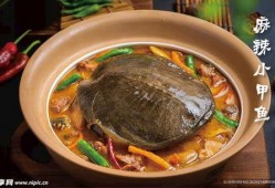 麻辣甲鱼爆料视频大全集,揭秘娱乐圈幕后真相