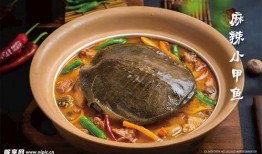 麻辣甲鱼爆料视频大全集,揭秘娱乐圈幕后真相