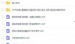 大厨爆料小肠视频教程,小肠烹饪秘籍视频教程全解析
