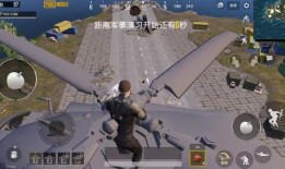 国际服体验服爆料视频,全新内容抢先看，揭秘游戏新篇章