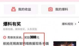 今日头条的爆料怎样赚钱,如何轻松赚取额外收入